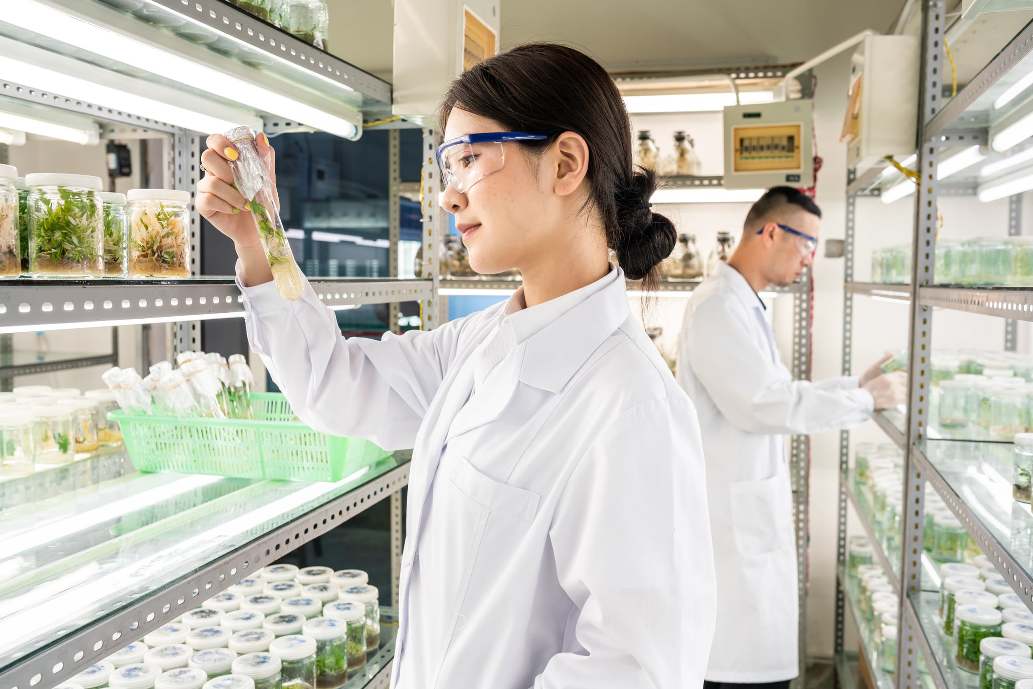 Technology in Home Economics - Presentation