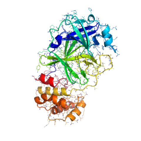 Coronavirus Overview: Resources and Prevention