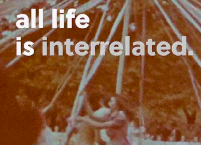 In Celebration of Dr. Martin Luther King, Jr. || Global Oneness Project