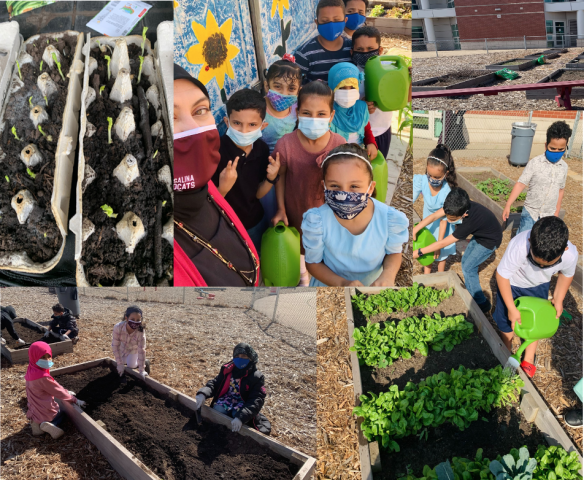 Salina Elementary Garden: Hands-On Learning