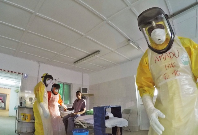 Survivors: Nature of an Epidemic