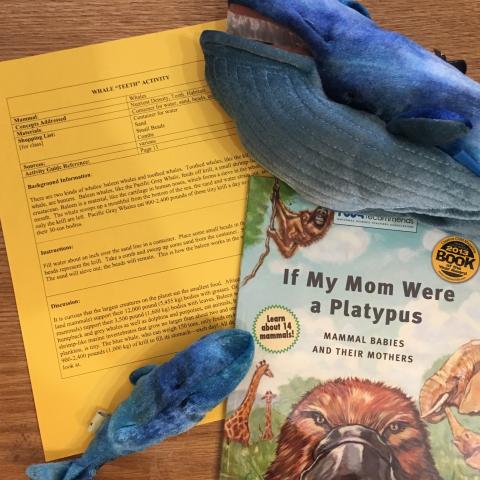 Whale Teeth (Grades 1-4;  Life sciences: habitats, teeth, nutrient density)