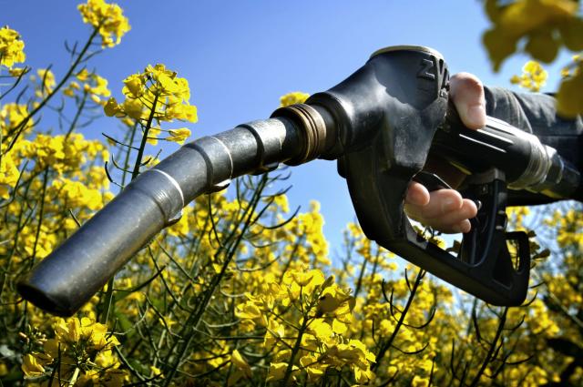 Science of Innovation: Biofuels