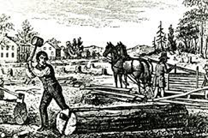 Indentured Servitude and Immigration