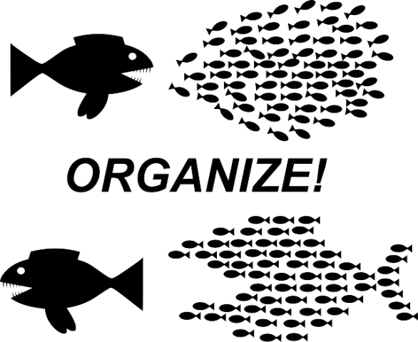 Union Election Simulation