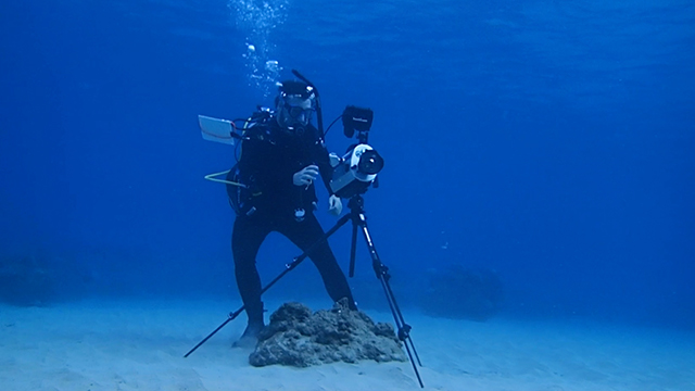 Mantis Cam allows humans to see like sea creatures