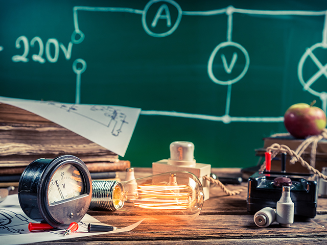 Yucca Flowers and Yucca Moths